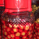 kaidansita.gif