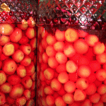 ume1s.gif